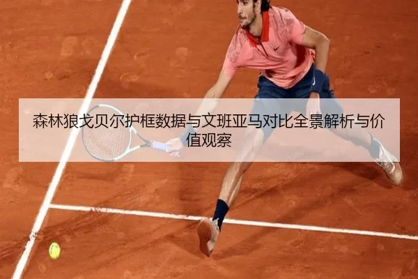森林狼戈贝尔护框数据与文班亚马对比全景解析与价值观察