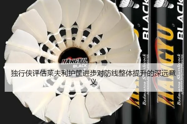 独行侠评估莱夫利护筐进步对防线整体提升的深远意义